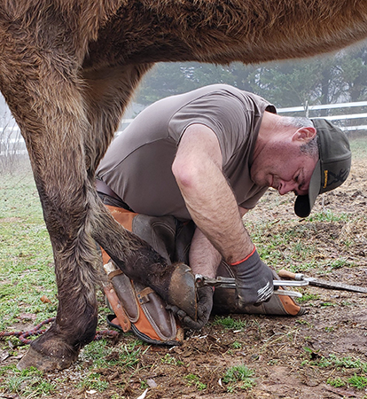 Pete Ramey, PHCP Practitioner/Clinician